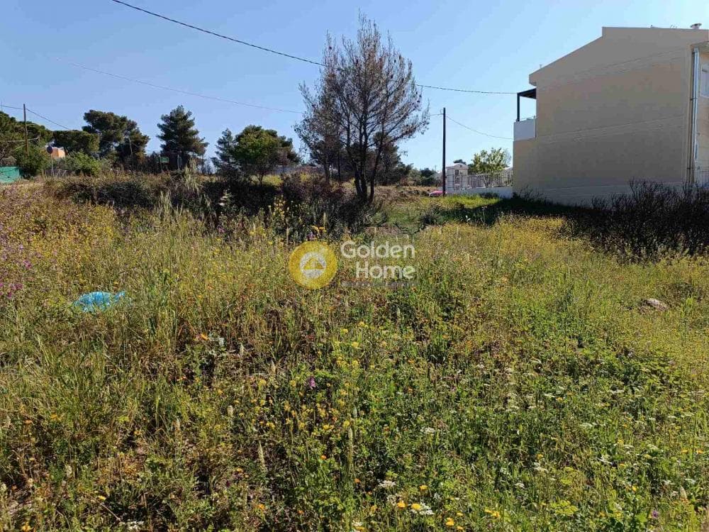Οικόπεδο στην Καλλιθέα, Πεντέλη — Φωτογραφία 1 από 4