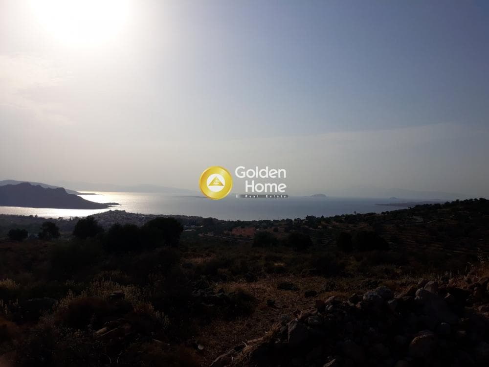Parcel in Sfentouri, Aegina — Photo 1 of 3