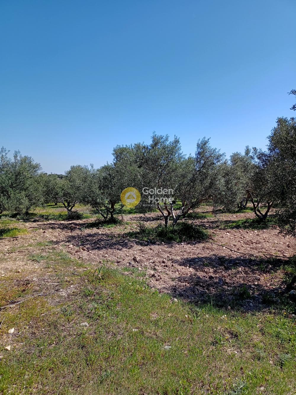 Οικόπεδο στην Καμηλάρι, Τυμπάκι — Φωτογραφία 2 από 4