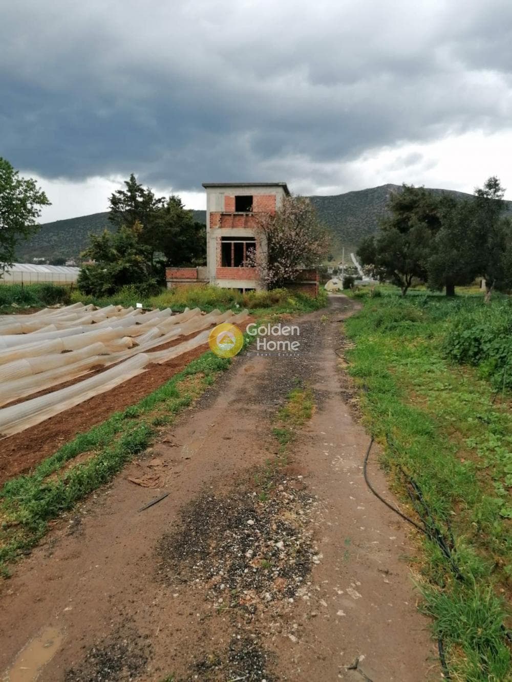 Μονοκατοικία στην Άγιος Παντελεήμονας, Νέα Μάκρη — Φωτογραφία 1 από 19