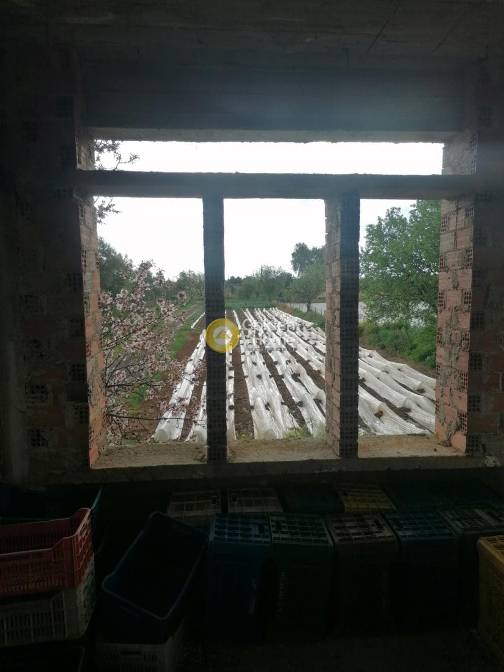 Μονοκατοικία στην Άγιος Παντελεήμονας, Νέα Μάκρη — Φωτογραφία 7 από 19