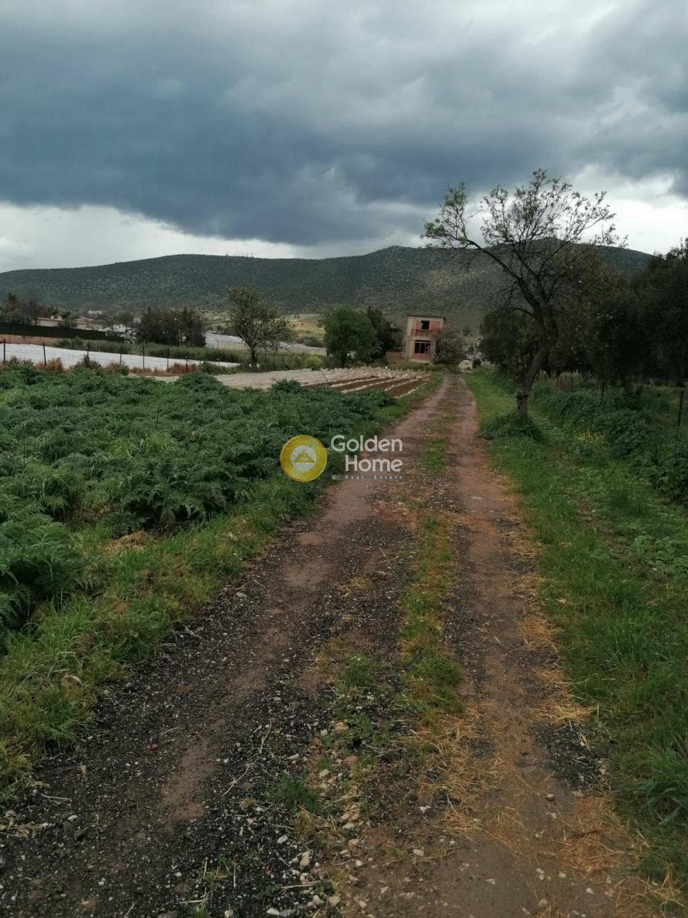 Μονοκατοικία στην Άγιος Παντελεήμονας, Νέα Μάκρη — Φωτογραφία 10 από 19