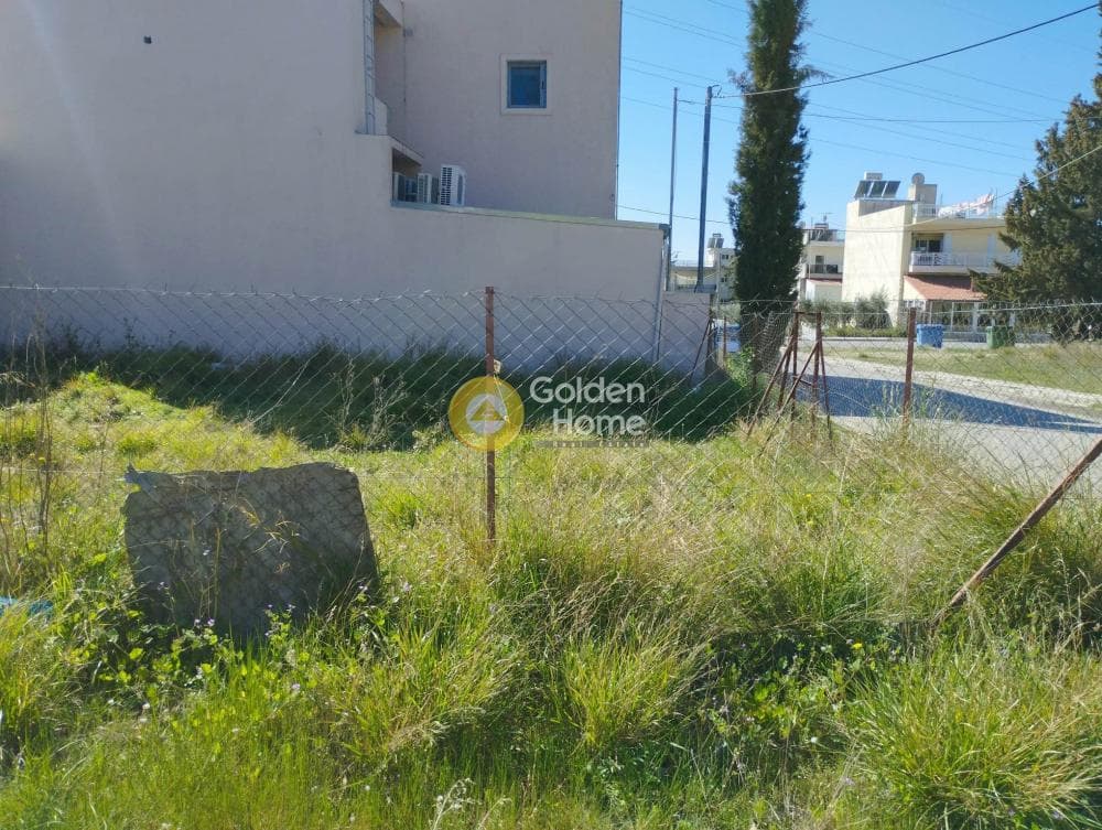 Building Plot in Megala Sxoinia A, Acharnes — Photo 4 of 5