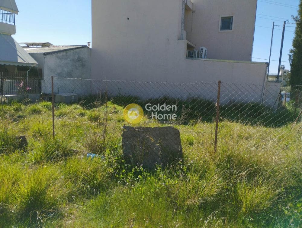 Building Plot in Megala Sxoinia A, Acharnes — Photo 5 of 5