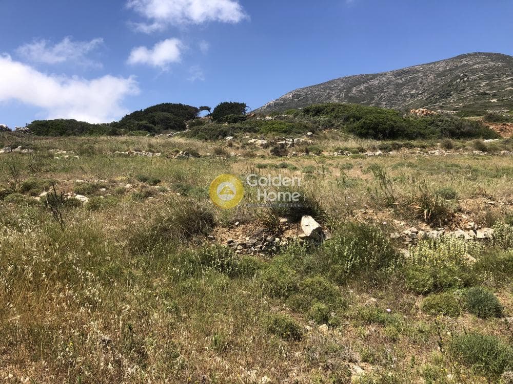 Parcel in Tzanes, Paros — Photo 8 of 13