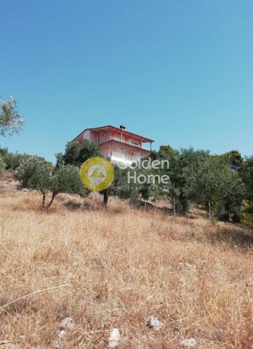 House in Limni Markopoulou, Markopoulo — Photo 3 of 35