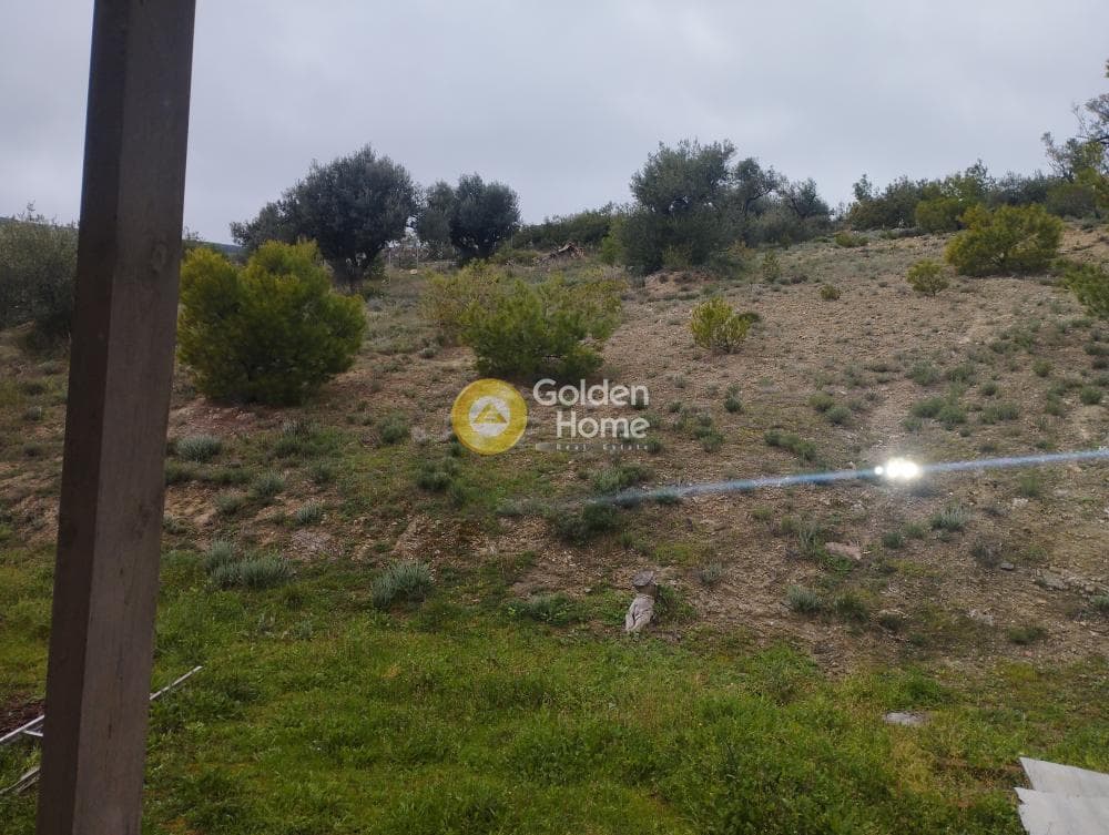 House in Limni Markopoulou, Markopoulo — Photo 34 of 35