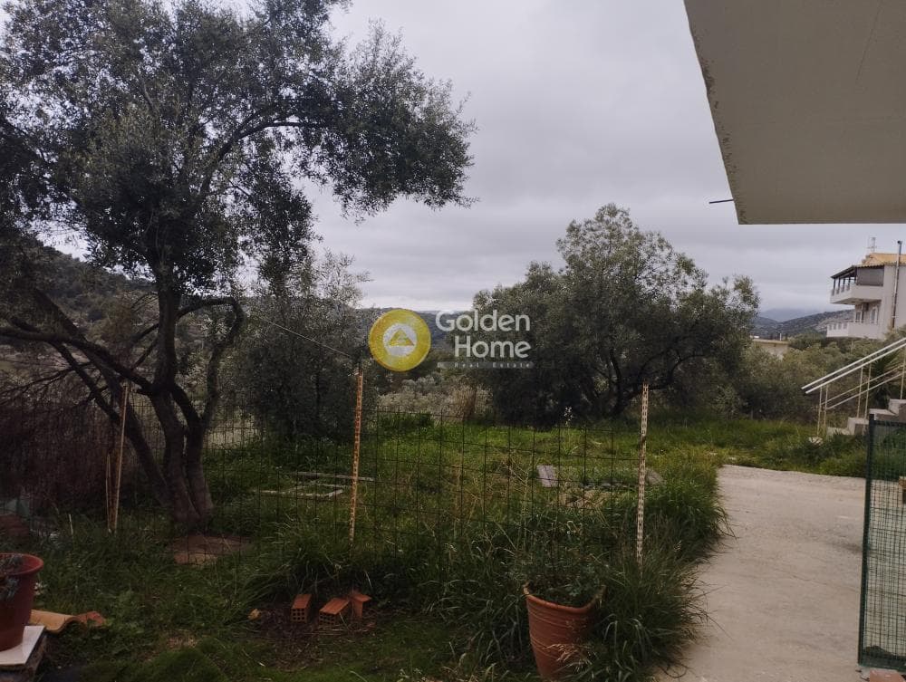 House in Limni Markopoulou, Markopoulo — Photo 35 of 35