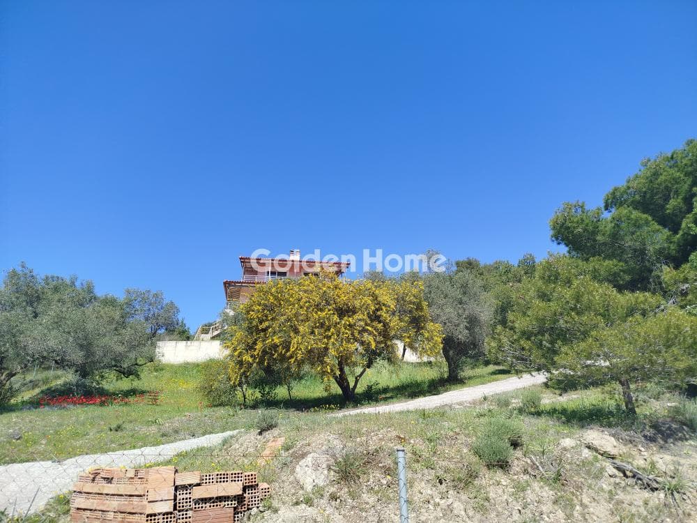 House in Limni Markopoulou, Markopoulo — Photo 1 of 35