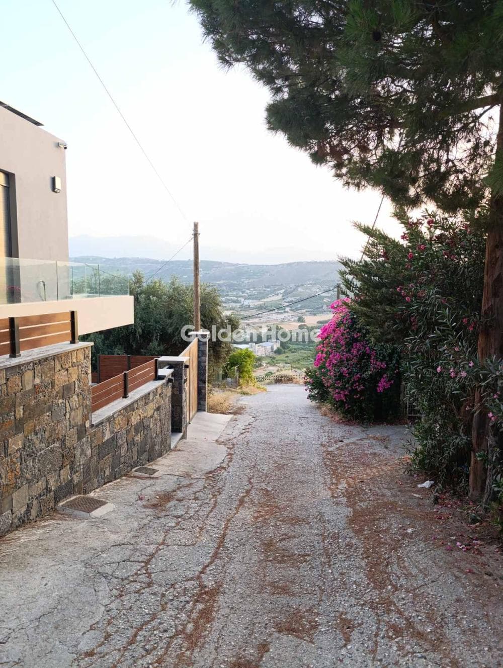 Αγροτεμάχιο στην Λοφούπολη, Τέμενος — Φωτογραφία 5 από 6