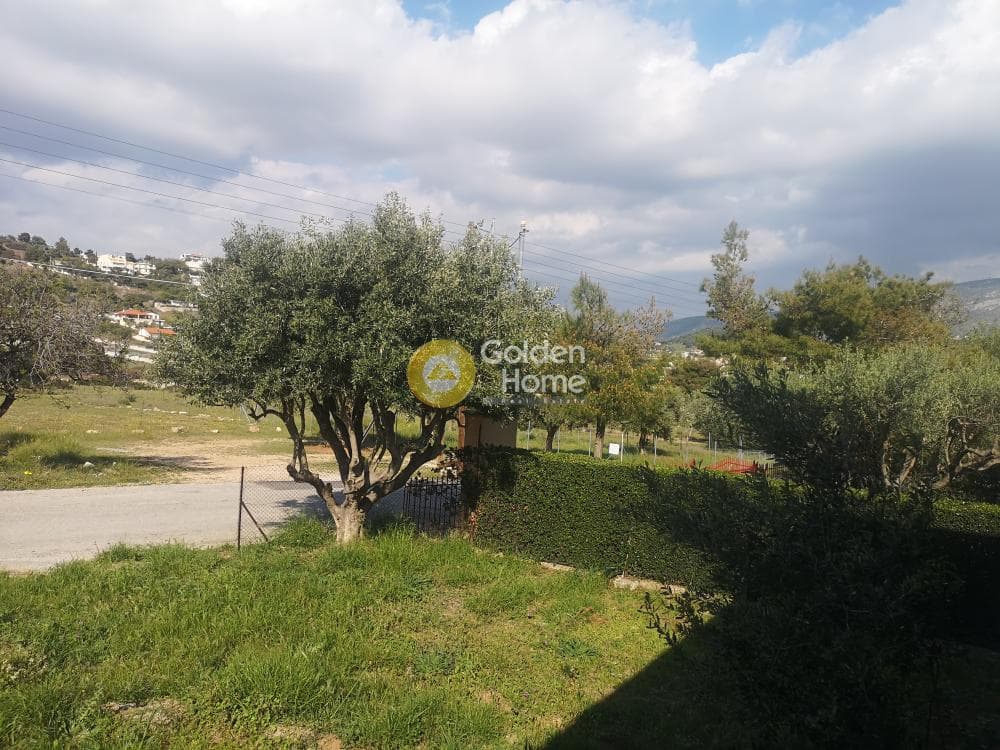 Οικόπεδο στην Αγία Μαρίνα, Κορωπί — Φωτογραφία 15 από 16