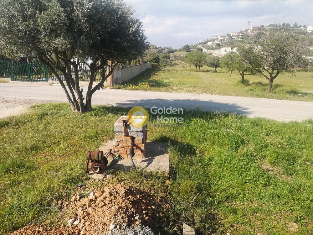 Οικόπεδο στην Αγία Μαρίνα, Κορωπί — Φωτογραφία 6 από 16