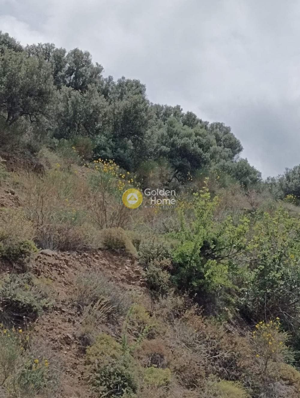 Οικόπεδο στην Βορός, Γούβες — Φωτογραφία 6 από 6