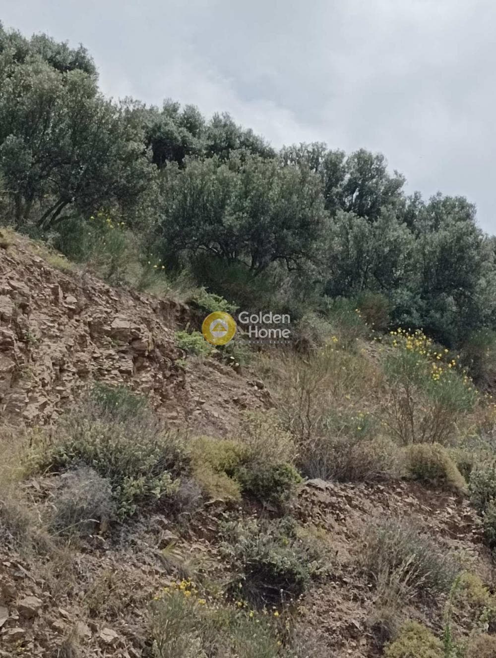 Οικόπεδο στην Βορός, Γούβες — Φωτογραφία 4 από 6