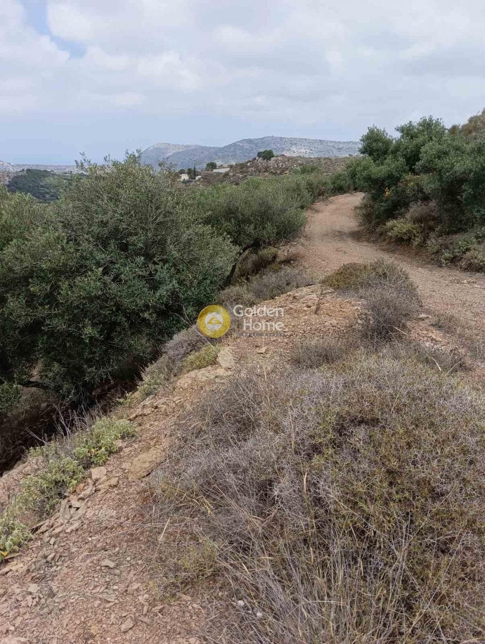 Οικόπεδο στην Βορός, Γούβες — Φωτογραφία 1 από 6