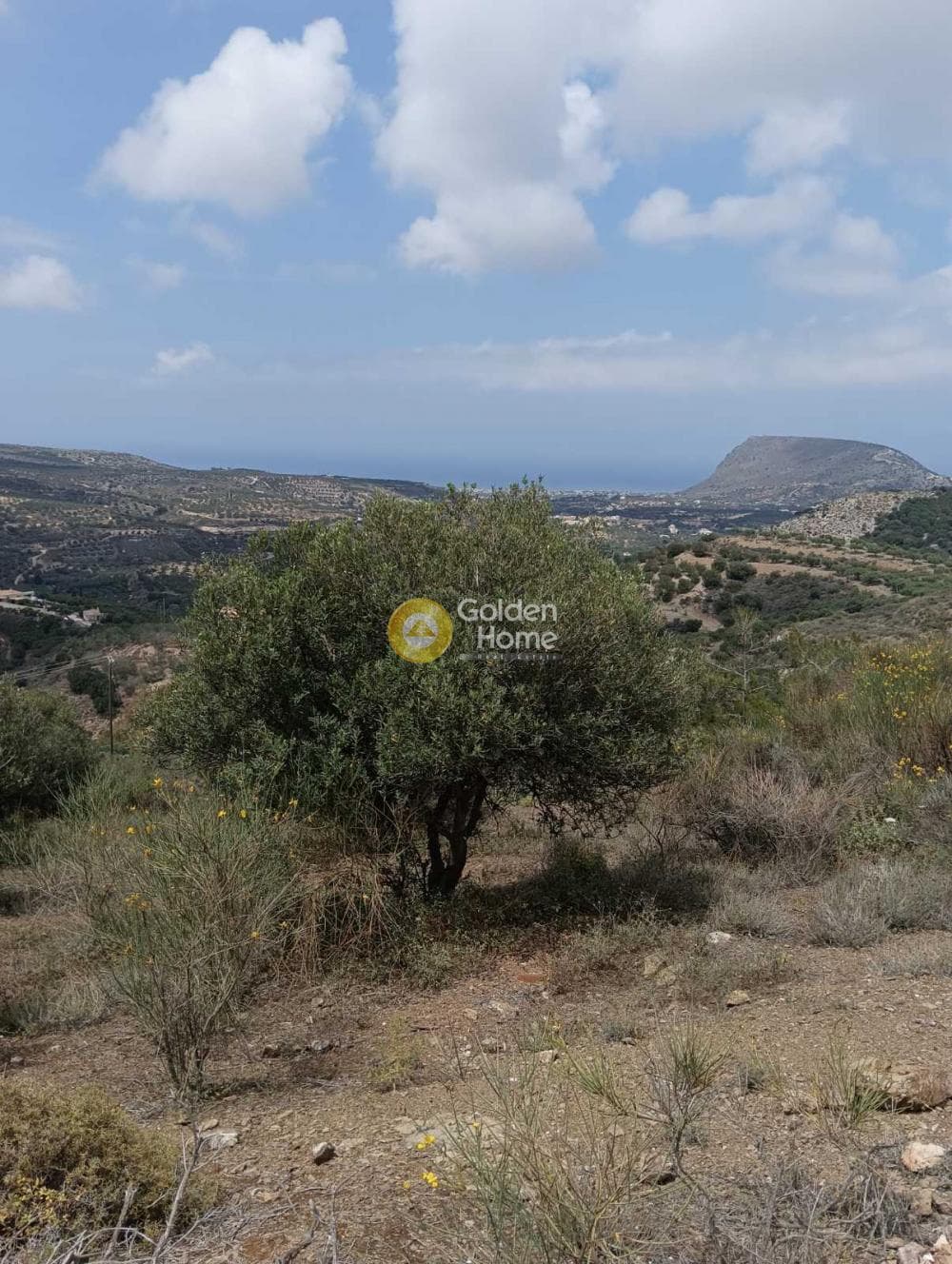 Οικόπεδο στην Βορός, Γούβες — Φωτογραφία 5 από 6