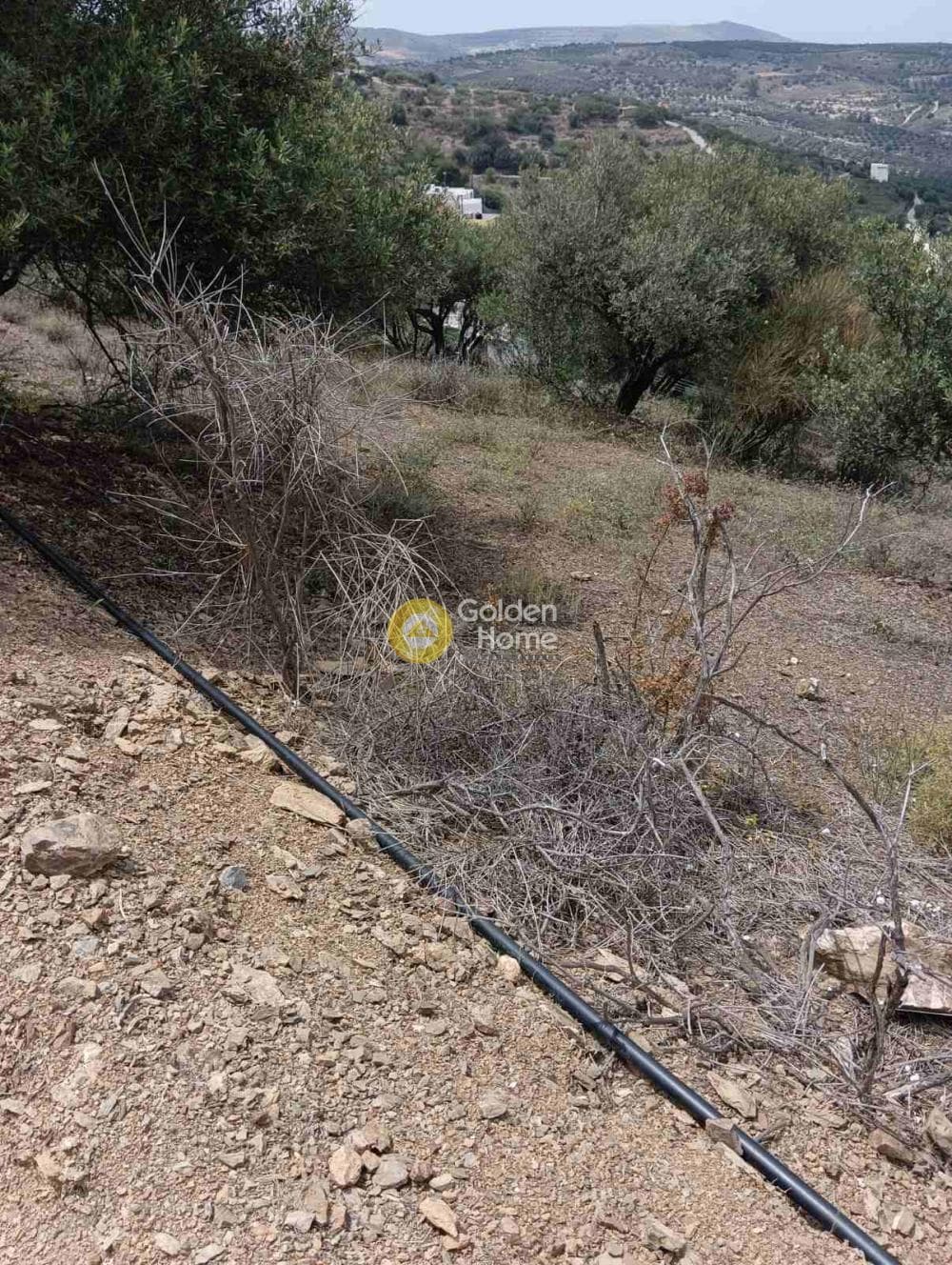 Οικόπεδο στην Βορός, Γούβες — Φωτογραφία 3 από 6