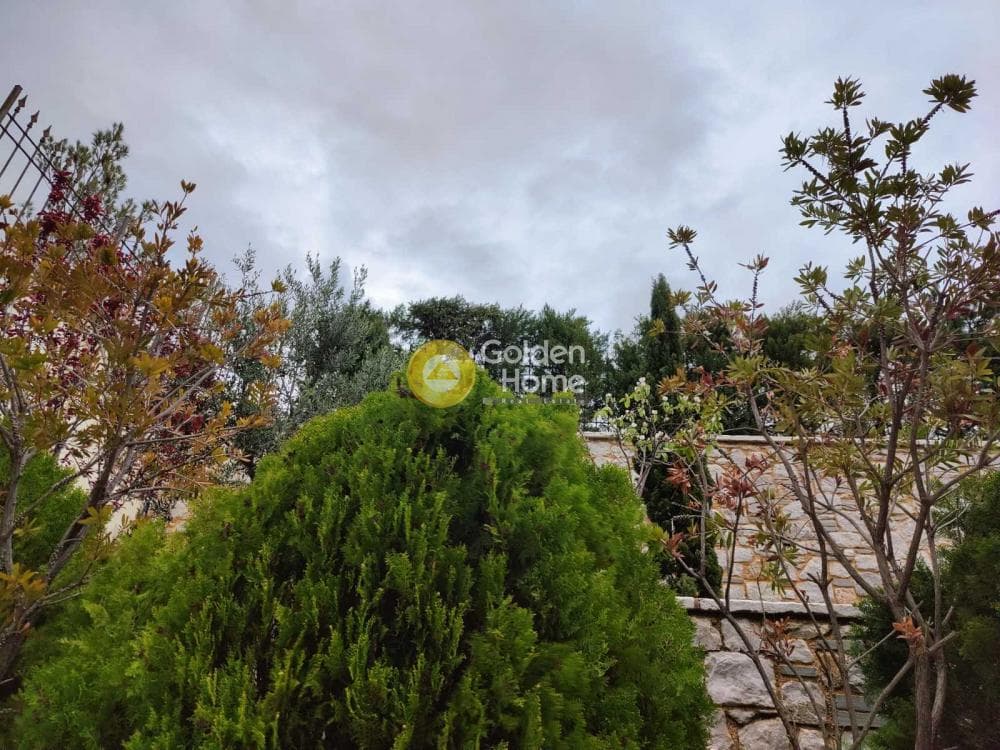 Μονοκατοικία στην Νταού Πεντέλη, Πικέρμι — Φωτογραφία 49 από 54