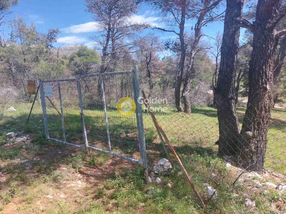 Building Plot in Agia Triada, Afidnes — Photo 7 of 20