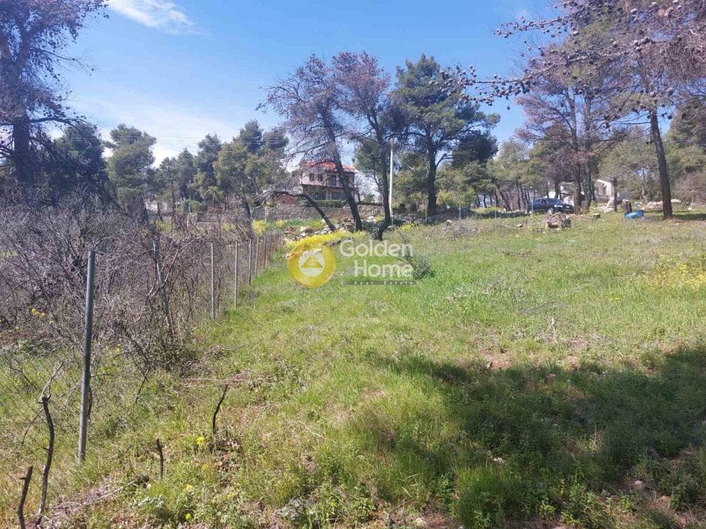 Building Plot in Agia Triada, Afidnes — Photo 8 of 20