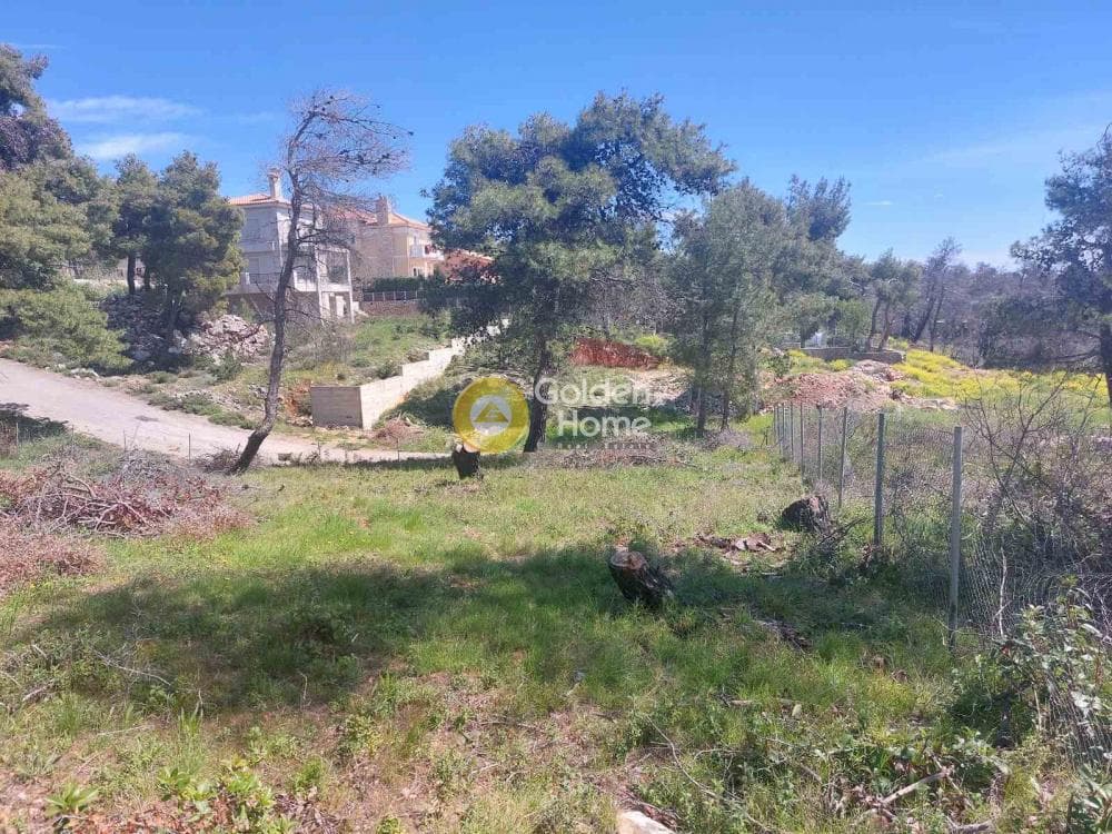 Building Plot in Agia Triada, Afidnes — Photo 11 of 20