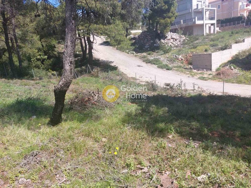 Building Plot in Agia Triada, Afidnes — Photo 13 of 20