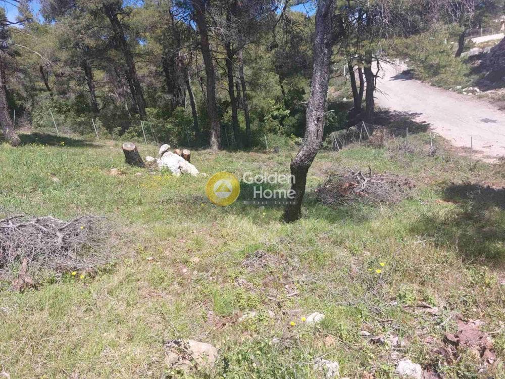 Building Plot in Agia Triada, Afidnes — Photo 15 of 20