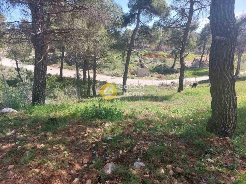 Building Plot in Agia Triada, Afidnes — Photo 17 of 20