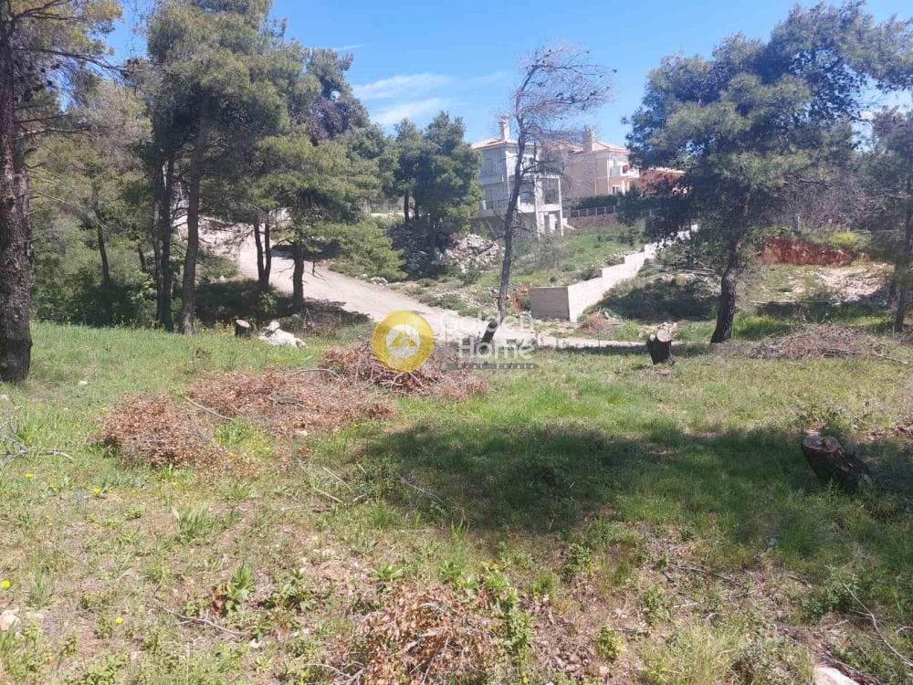 Building Plot in Agia Triada, Afidnes — Photo 19 of 20