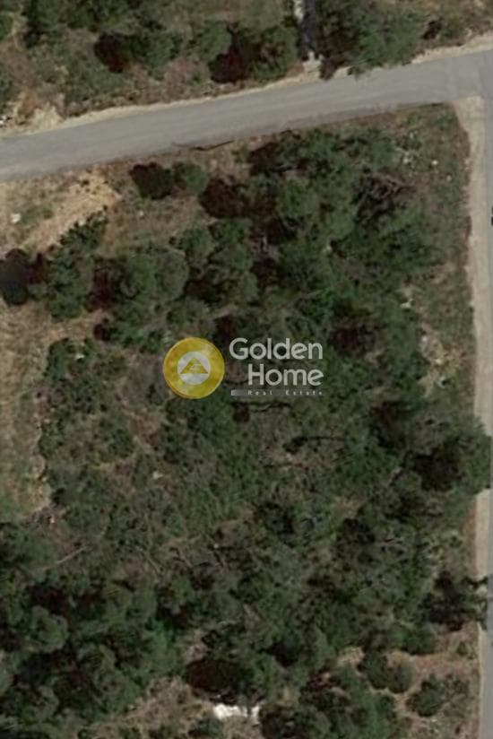 Building Plot in Avgi, Afidnes