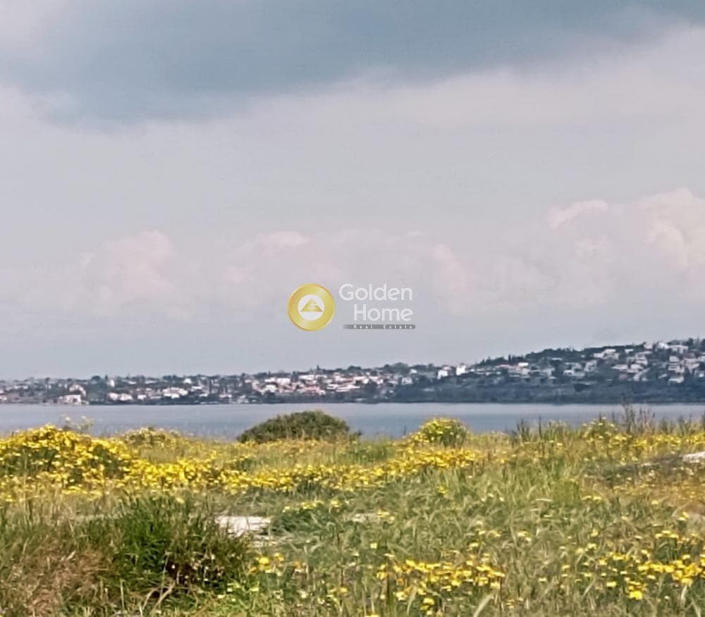 Οικόπεδο στην Πέρδικα, Αίγινα — Φωτογραφία 5 από 6