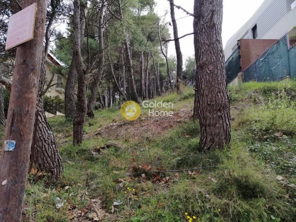 Building Plot in Rodopoli, Rodopoli — Photo 1 of 13
