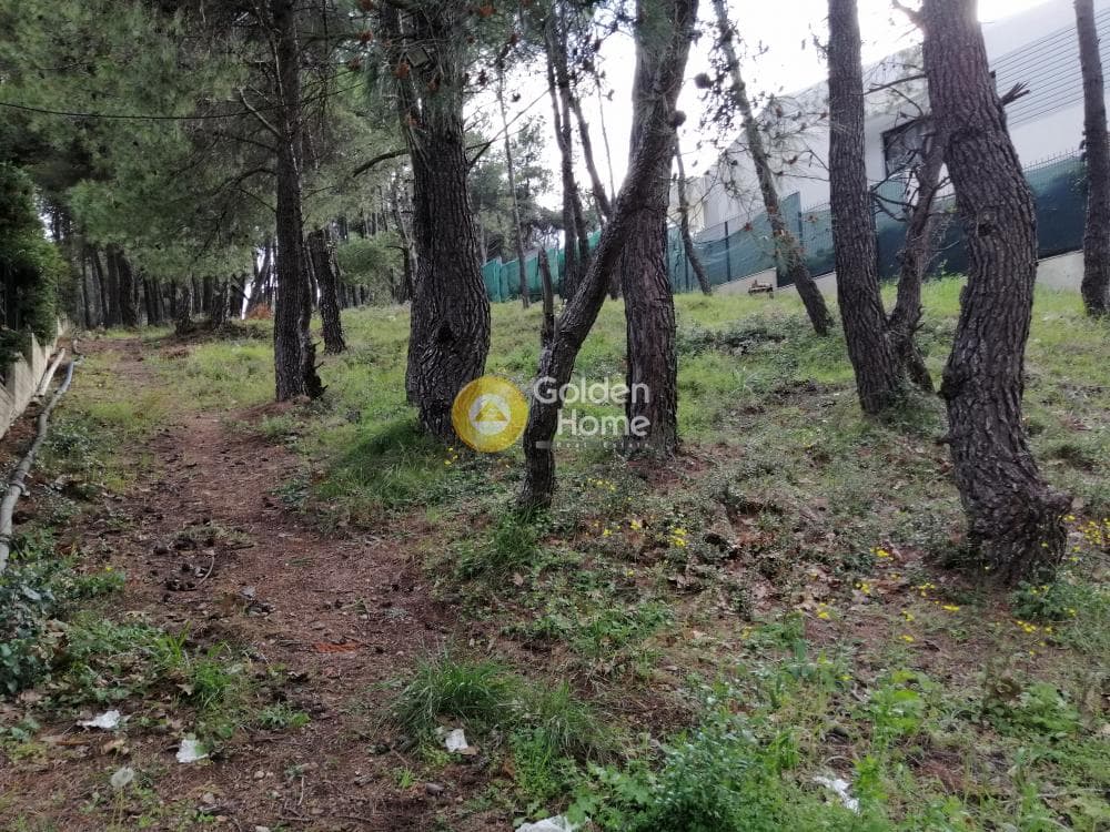 Building Plot in Rodopoli, Rodopoli — Photo 2 of 13