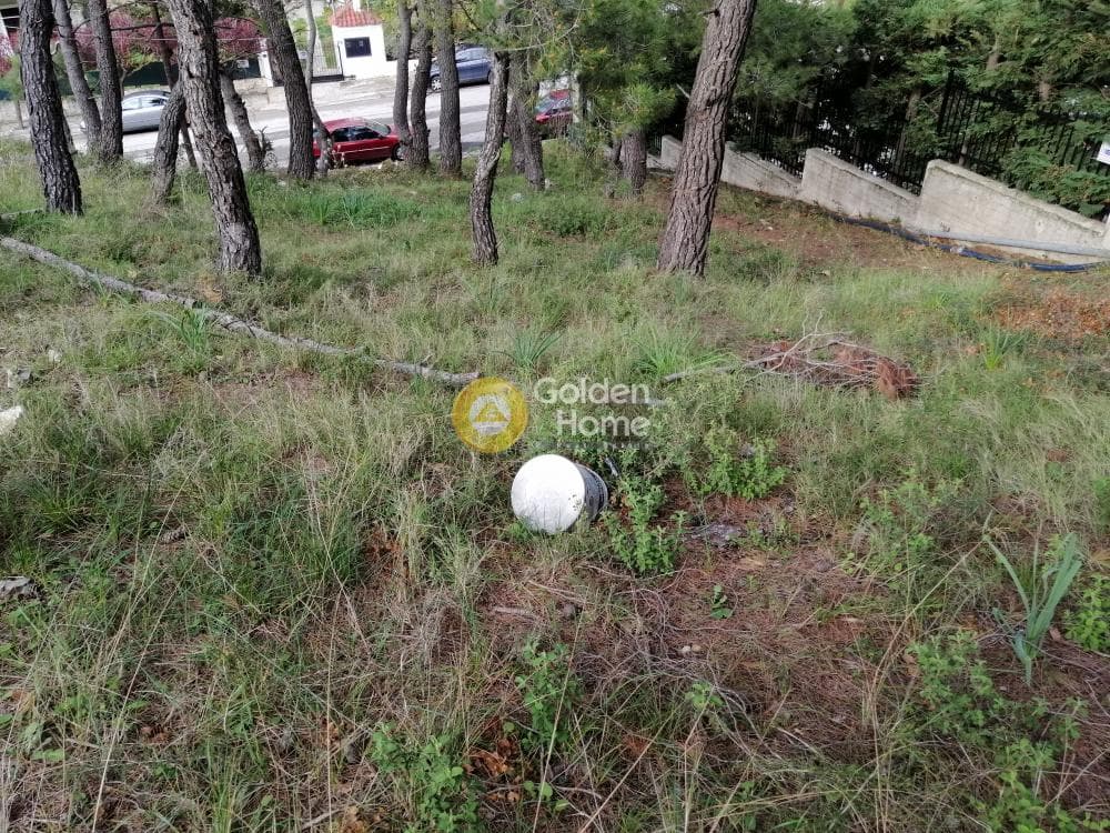Building Plot in Rodopoli, Rodopoli — Photo 3 of 13