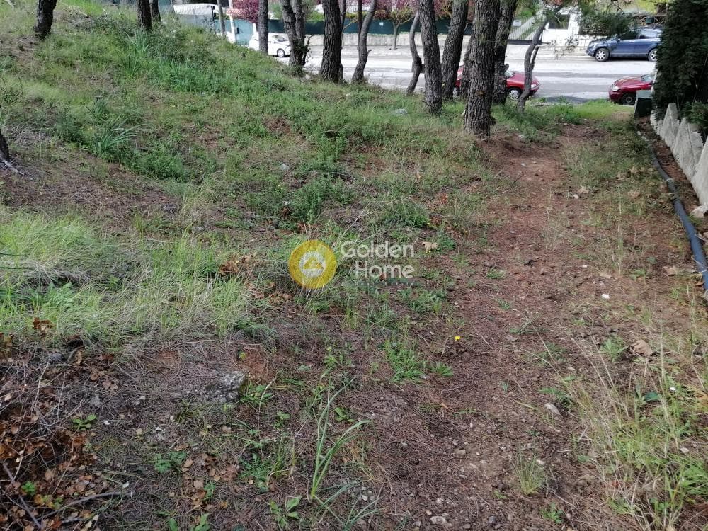 Building Plot in Rodopoli, Rodopoli — Photo 5 of 13