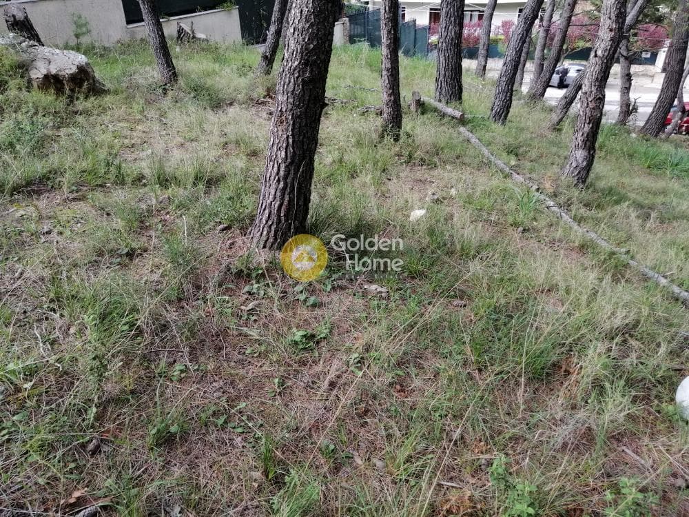 Building Plot in Rodopoli, Rodopoli — Photo 6 of 13