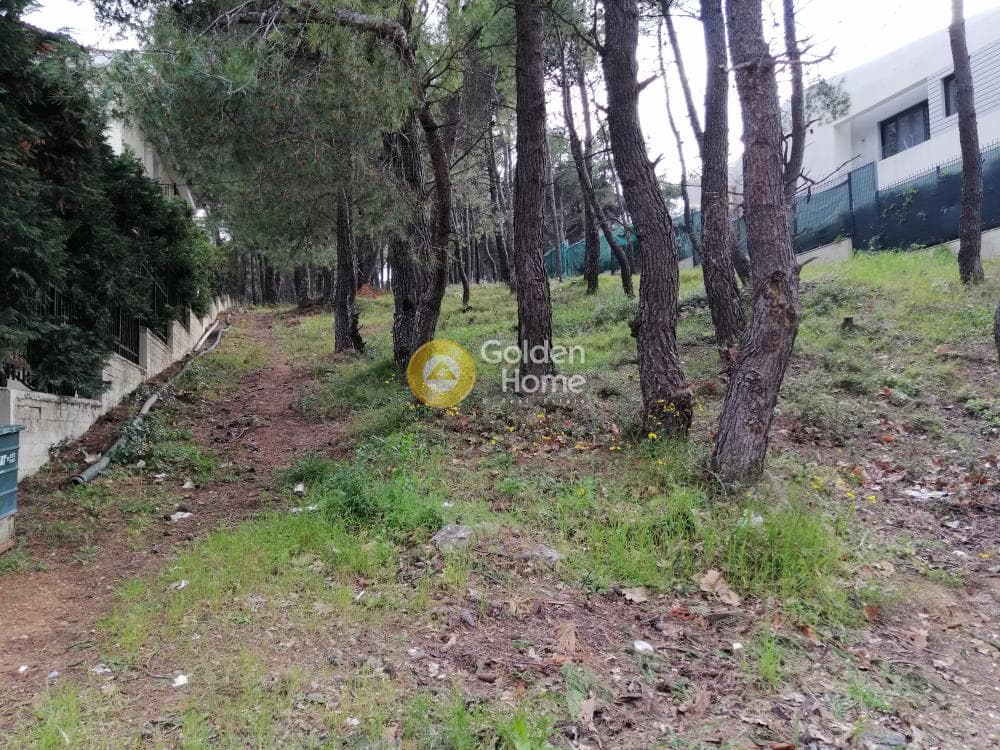 Building Plot in Rodopoli, Rodopoli — Photo 7 of 13
