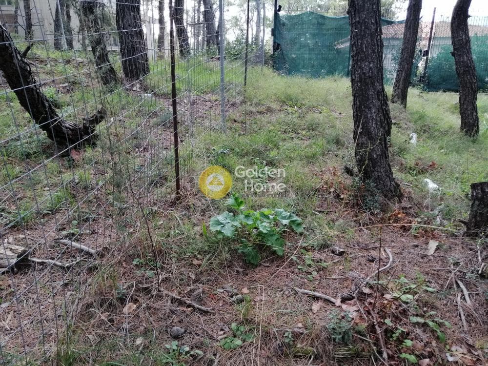 Building Plot in Rodopoli, Rodopoli — Photo 8 of 13