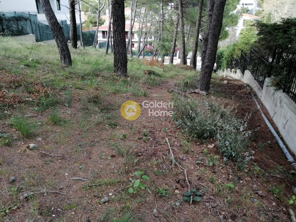 Building Plot in Rodopoli, Rodopoli — Photo 9 of 13