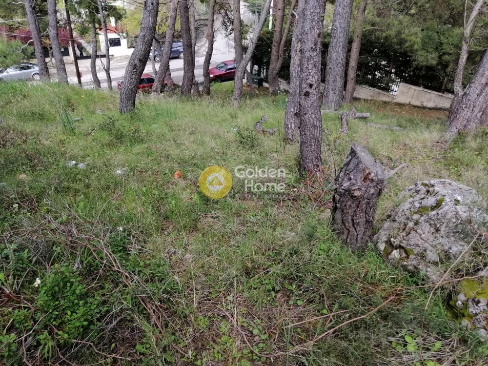 Building Plot in Rodopoli, Rodopoli — Photo 10 of 13