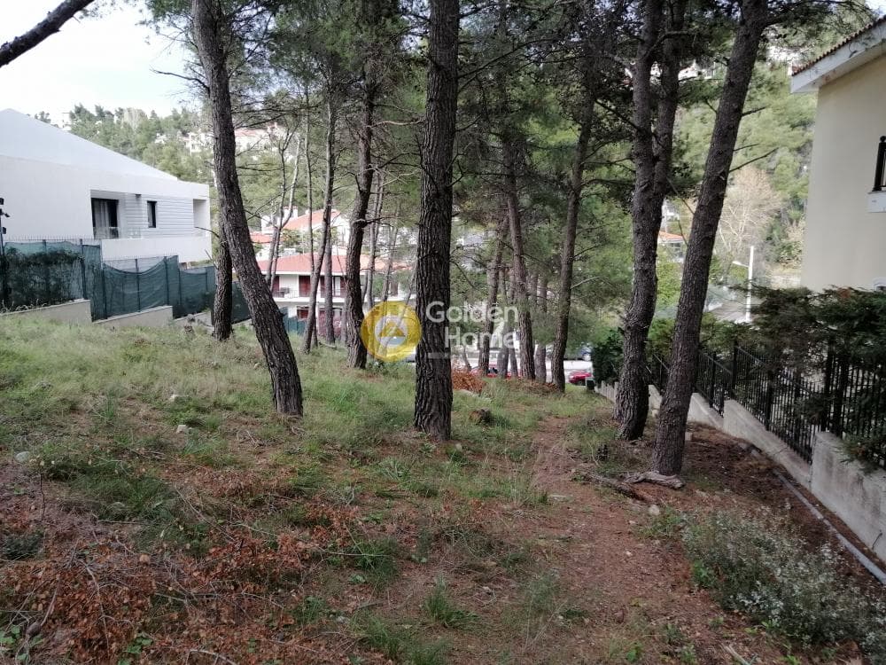 Building Plot in Rodopoli, Rodopoli — Photo 12 of 13