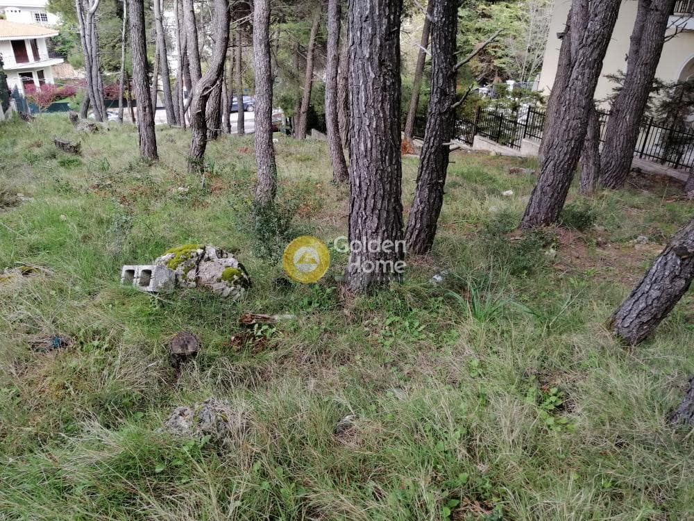 Building Plot in Rodopoli, Rodopoli — Photo 11 of 13