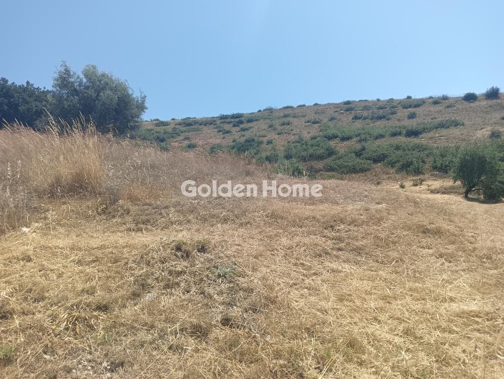 Building Plot in Agios Athanasios, Pallini — Photo 2 of 7