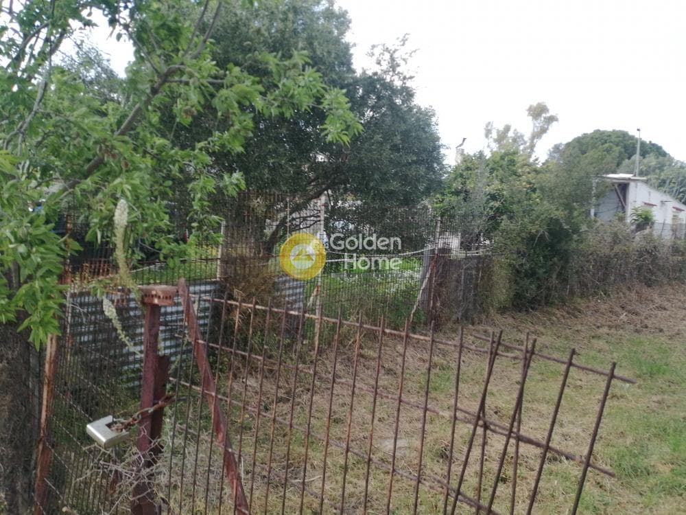 Building Plot in Adames Oikismos Grammos - Foinikas, Kifisia