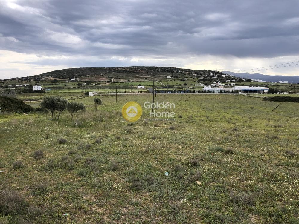 Parcel in Isterni, Paros — Photo 3 of 8