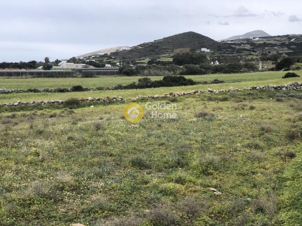 Parcel in Isterni, Paros — Photo 8 of 8