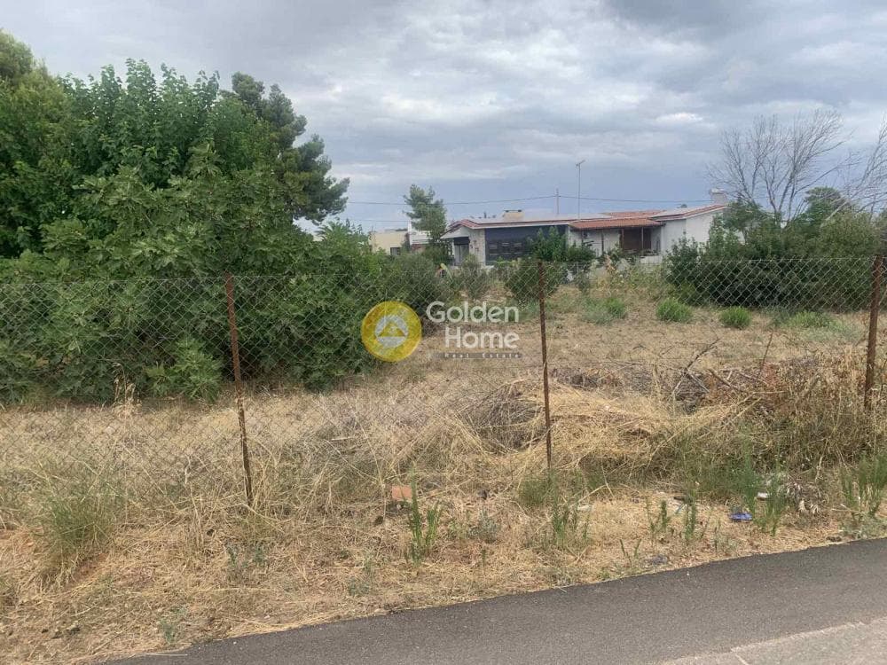 Building Plot in Mati, Rafina — Photo 3 of 4