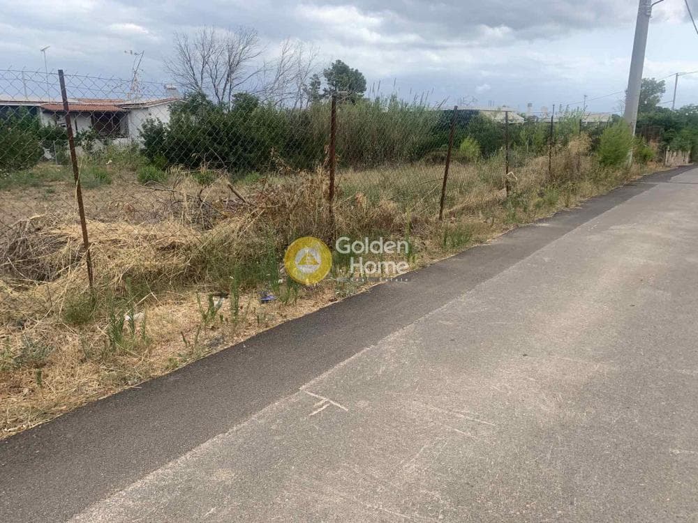 Building Plot in Mati, Rafina — Photo 1 of 4