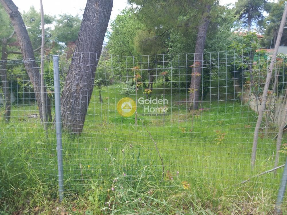 Building Plot in Rodopoli, Rodopoli