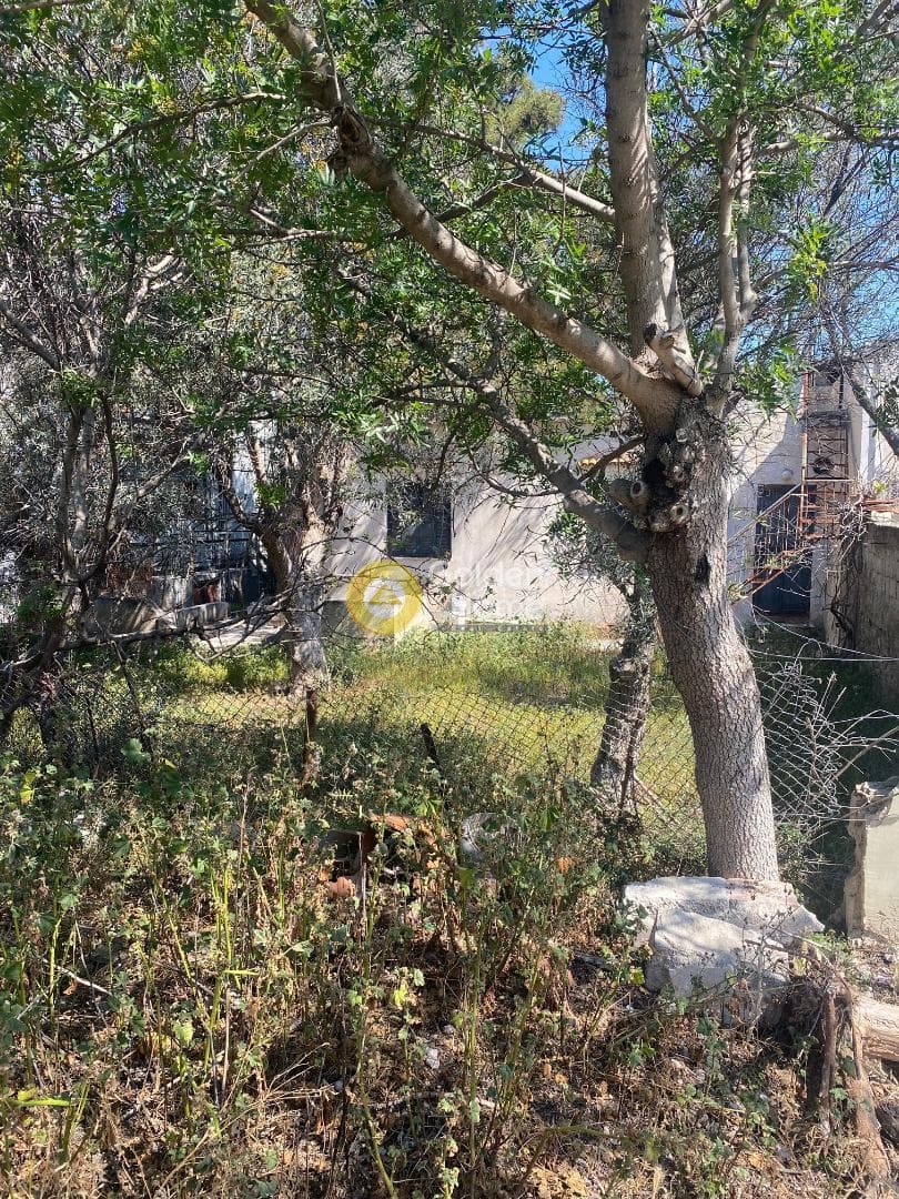 Μονοκατοικία στην Πηγαδάκια, Βουλιαγμένη — Φωτογραφία 11 από 11
